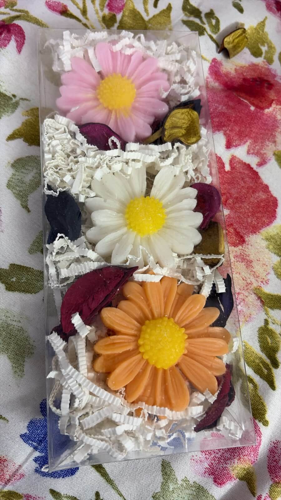 Daisy Goat's Milk Soap Combo