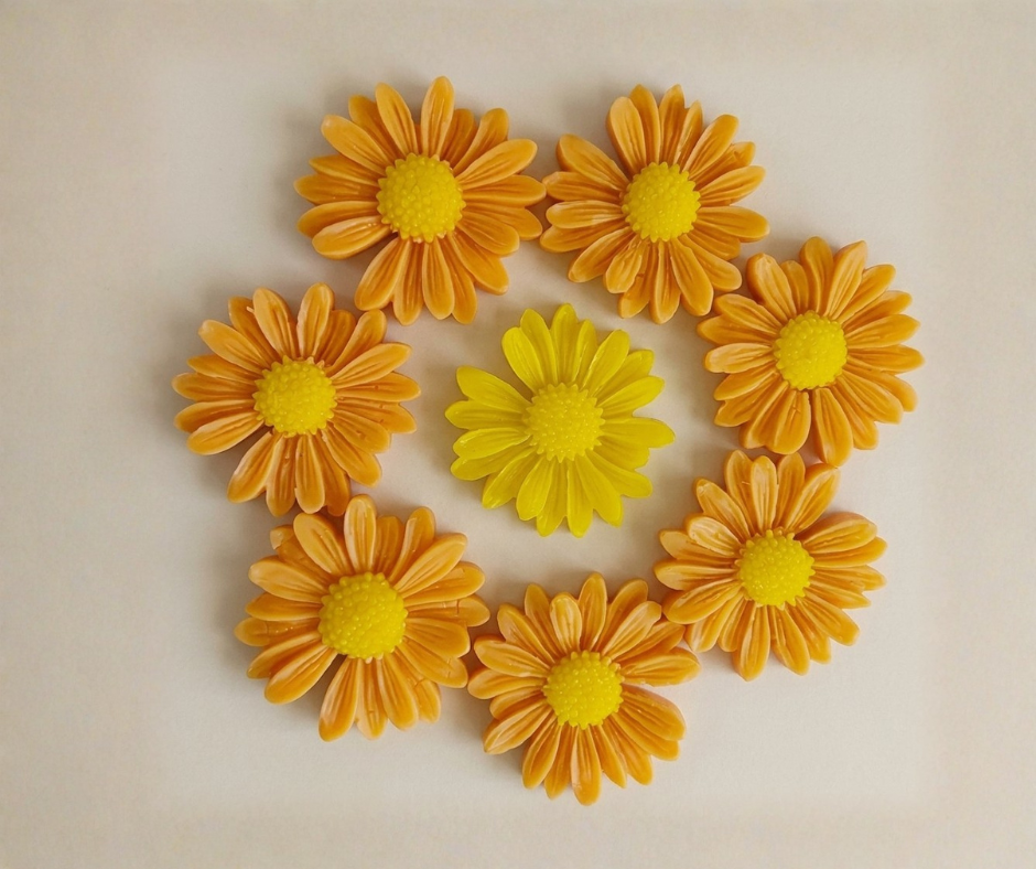 Daisy Goat's Milk Soap Combo